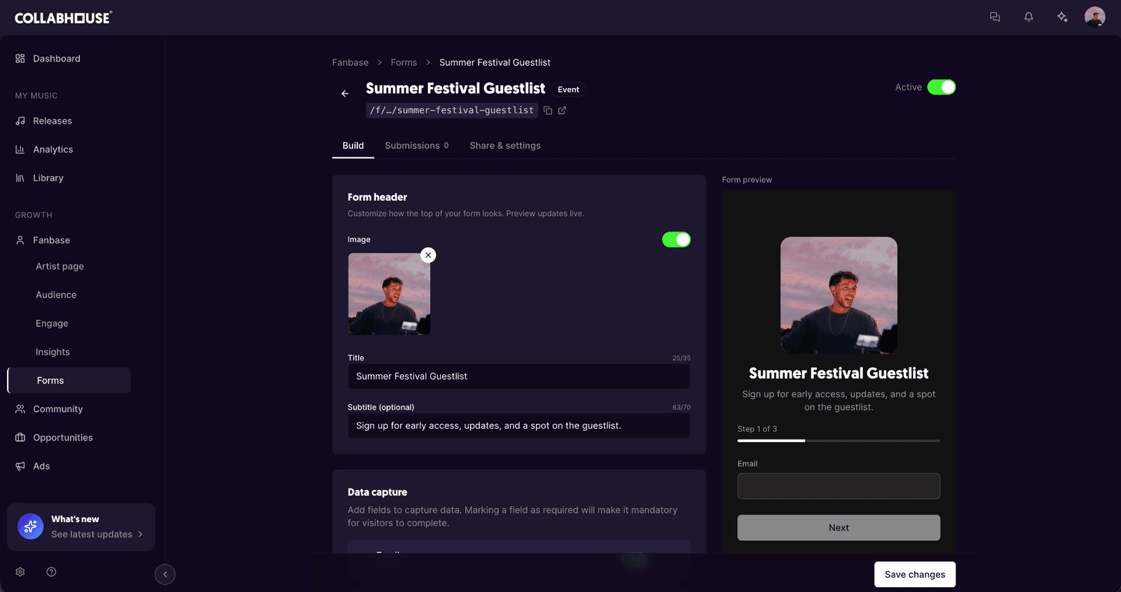 Form builder on the artist page